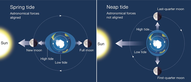 Diagram showing how tide is influenced by moon phases